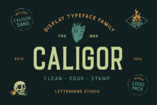 Caligor: The Display Font That Made Our Brand Identity Sing