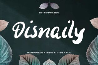 Disnaily: The Display Font That Brings Charm to Editorial Design