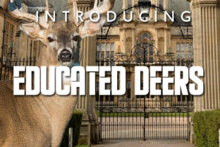 Educated Deers Font Review: A Bold Display for Campaigns